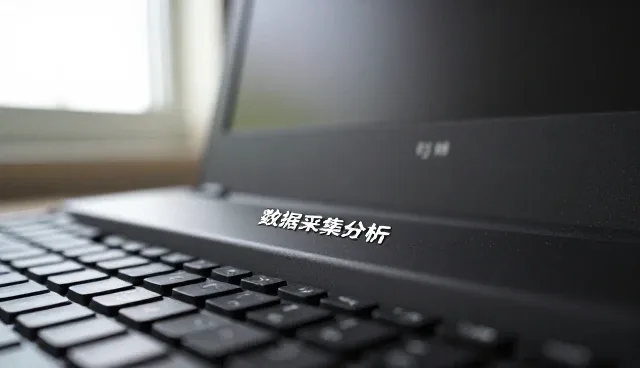 数据采集分析在系统实施中的性能优化与适用条件探讨